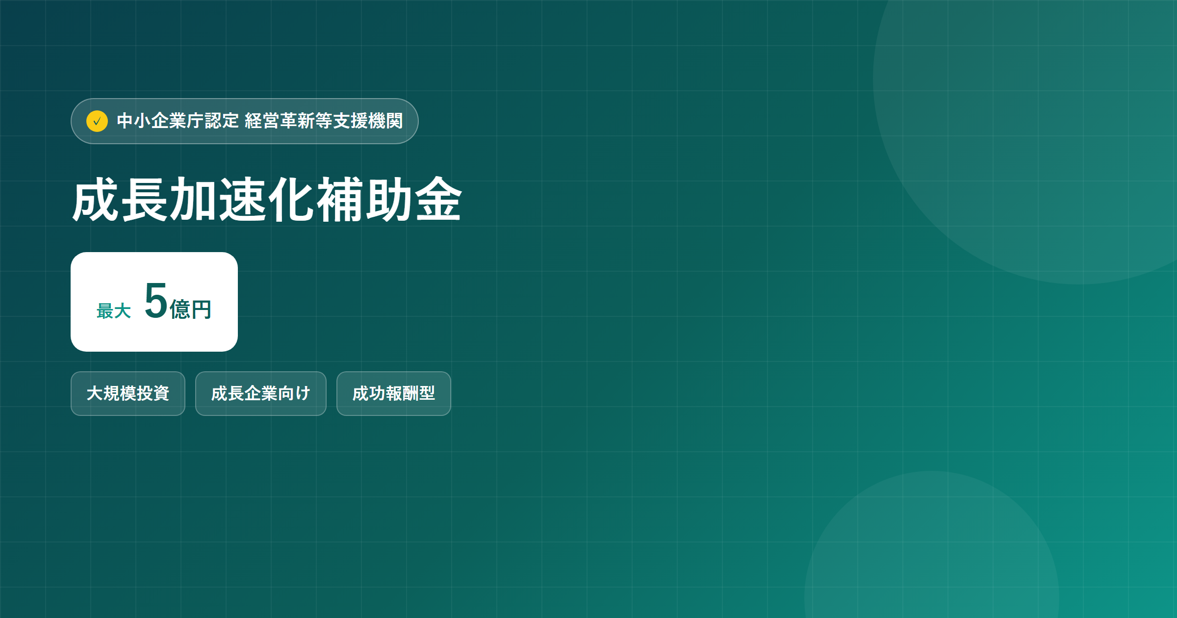 成長加速化補助金 最大5億円 大規模投資